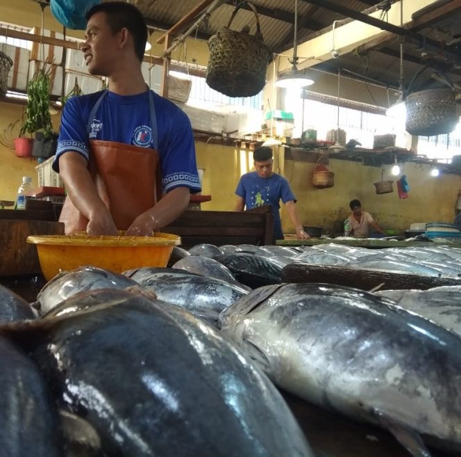 Salah satu tempat dagangan ikan laut, di pasar KUD Tanjungpinang.
Foto:Jho