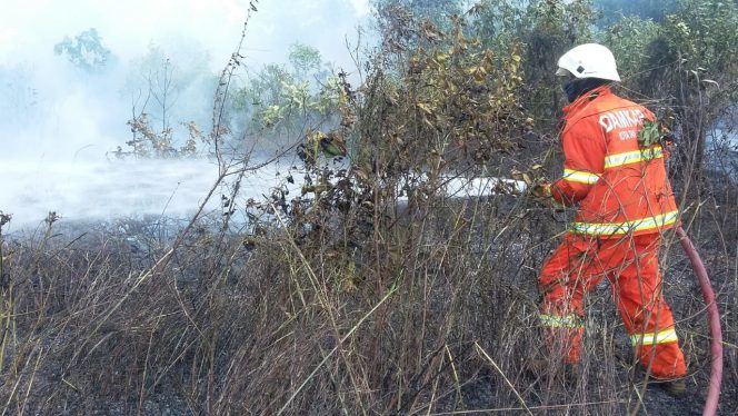
					Petugas Damkar Kota Tanjungpinang, saat berusaha memadamkan api yang melalap salah satu lahan kosong di Tanjungpinang.