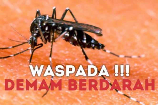 
					Kadinkes: Usia Remaja Paling Banyak Terpapar DBD