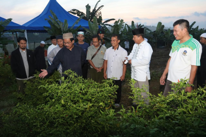 
					Gubernur saat mengunjungi salah satu perkebunan di Bintan.
