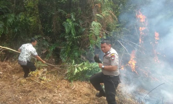 
					Petugas Damkar Padamkan Kebakaran Lahan Dikawasan Kecamatan Singkep Barat