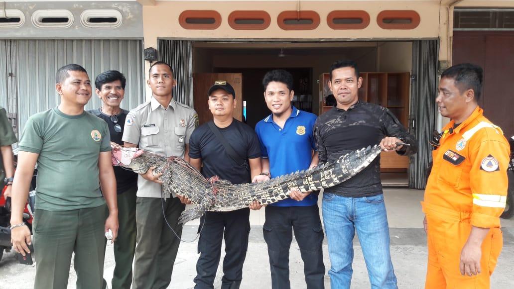 Catatan Setahun Tim Reaksi Cepat Dalam Mengatasi Gangguan Hewan