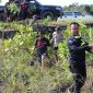 Peringati HUT Humas Polri Ke-72, Polres Natuna Tanam 100 Mangrove