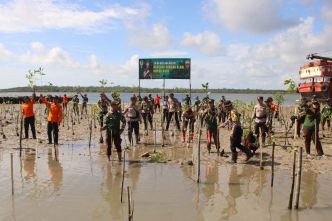 
					Bersatu Dengan Alam Untuk NKRI, Kodim 0318/Natuna Tanam Mangrove