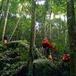 Dramatis, Tim Basarnas Natuna Evakuasi Pendaki Asing di Air Terjun Bukit Bintang