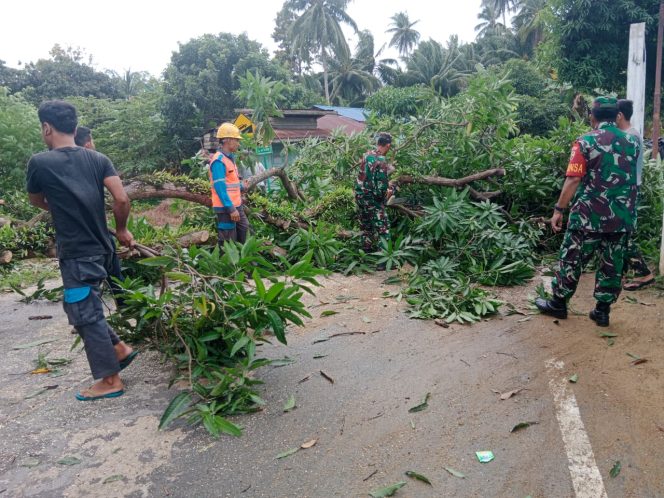 
					Gerak Cepat Koramil 06/Serasan Bersama Petugas PLN Bersihkan Pohon Tumbang Menimpa Jaringan Listrik