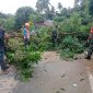 Gerak Cepat Koramil 06/Serasan Bersama Petugas PLN Bersihkan Pohon Tumbang Menimpa Jaringan Listrik