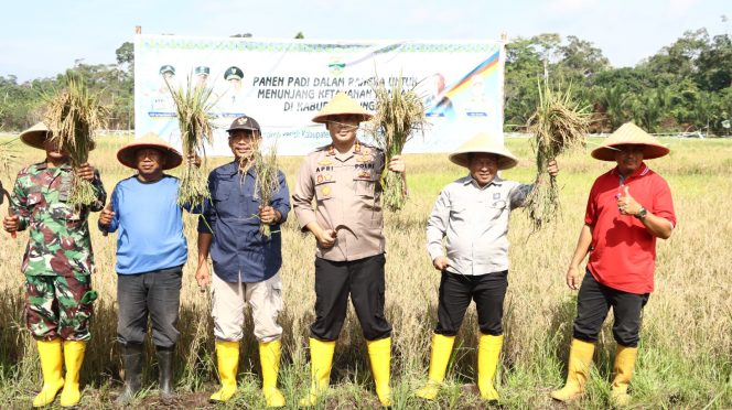 
					Kapolres Lingga AKBP Apri Fajar Hermanto bersama masayrakat lakukan panen padi, Rabu (18/09/2024)-Humas Polres Lingga