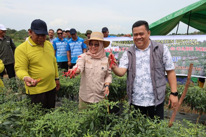 
					Sekda Kabupaten Bintan Ronny bersama kelompok tani saat menunjukkan hasil panen cabe, Selasa (03/12/2024)-Diskominfo Kabupaten Bintan