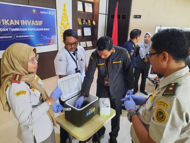 
					Balai Karantina Kepri saat memusnahkan ikan sapu-sapu, Selasa (10/12/2024)-Hendrik
