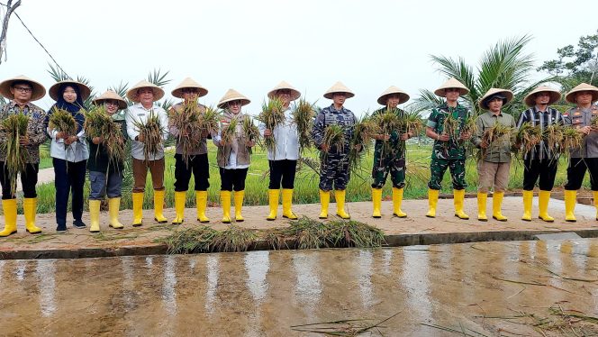 
					Foto bersama kepala dan perwakilan instansi dengan memegang hasil panen perbenihan padi, Selasa (24/12/2024)-Diskominfo Kabupaten Bintan