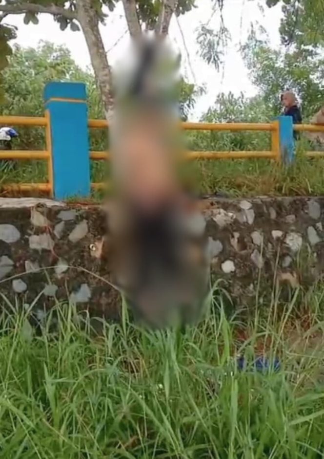 
					Seorang pria tewas di Waduk Kolong Enam Kijang, Bintan , Rabu (11/6/2025). (Istimewa)