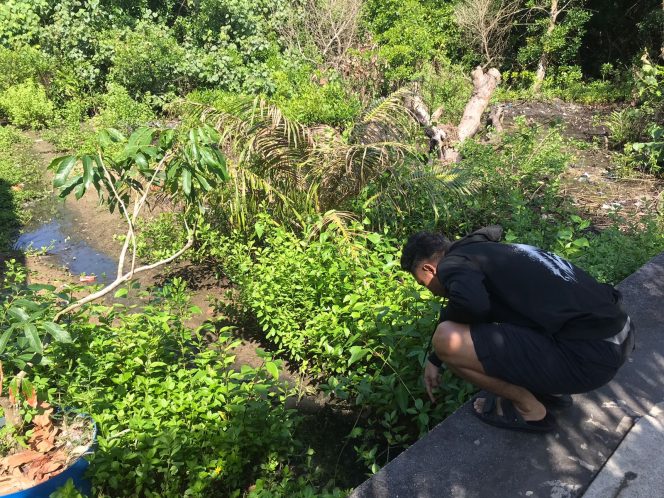 
					Warga saat memantau lokasi penemuan anak buaya, di kolong Gang Pulau Panda, Jalan Raja Ali Haji Fisabilillah,  Kilometer 5, Tanjungpinang. Selasa (24/6/2025). (Nzl)