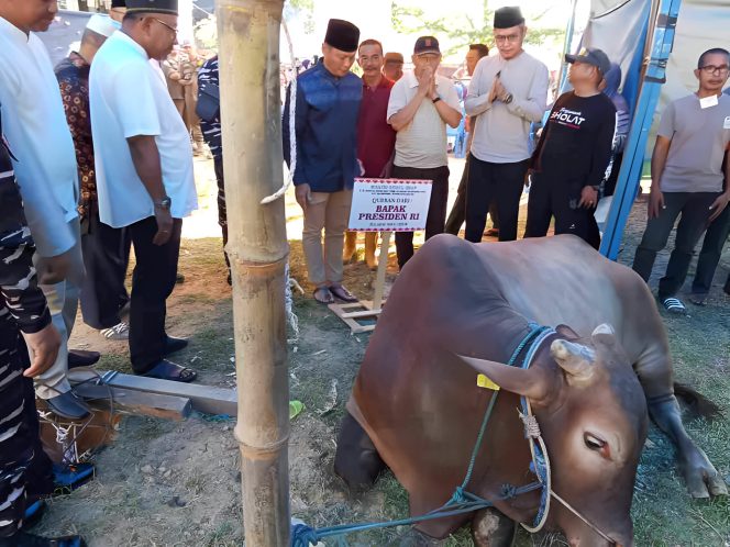Keterangan Foto: Wali Kota Tanjungpinang, Lis Darmansyah, saat menyembelih langsung sapi kurban bantuan Presiden Republik Indonesia, Prabowo Subianto. Penyembelihan berlangsung khidmat di halaman Masjid Nurul Iman, Jalan Pancur, Kota Tanjungpinang, Sabtu (07/06/2025), (Diskominfo Tanjungpinang).