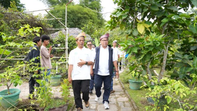 
					Keterangan Foto:  Deputi Bidang Investasi dan Pengusahaan BP Batam, Fary Francis, saat melakukan kunjungan kerja ke Kampung Sawah, Tanjung Riau, Kecamatan Sekupang, pada Selasa (10/06/2025), (BP Batam).