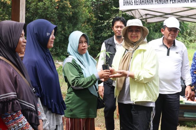 
					Keterangan Foto: Ketua TP PKK Kepri, Dewi Kumalasari, bersama Gubernur Kepri, Ansar Ahmad, saat membagikan bibit cabai gratis secara simbolis, Kamis (17/07/2025), (Diskominfo Kepri).