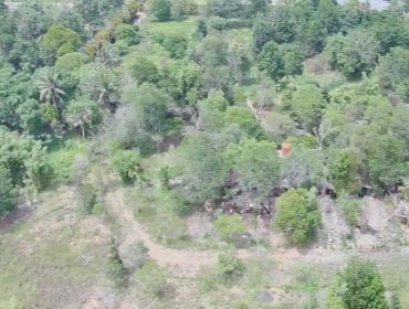 keterangan foto : Lokasi rencana investasi PT Anaya Bintan Abadi yang akan membangun kawasan wisata dengan memadukan konsep pelestarian alam dan juga wisata berbasis alam di Kampung Penghijauan, Desa Sebong Pereh, Kecamatan Teluksebong, Selasa (11/11/2025). (Jendaras)