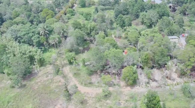 keterangan foto : Lokasi rencana investasi PT Anaya Bintan Abadi yang akan membangun kawasan wisata dengan memadukan konsep pelestarian alam dan juga wisata berbasis alam di Kampung Penghijauan, Desa Sebong Pereh, Kecamatan Teluksebong, Selasa (11/11/2025). (Jendaras)