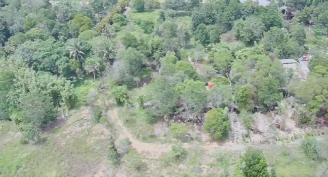 
					keterangan foto : Lokasi rencana investasi PT Anaya Bintan Abadi yang akan membangun kawasan wisata dengan memadukan konsep pelestarian alam dan juga wisata berbasis alam di Kampung Penghijauan, Desa Sebong Pereh, Kecamatan Teluksebong, Selasa (11/11/2025). (Jendaras)