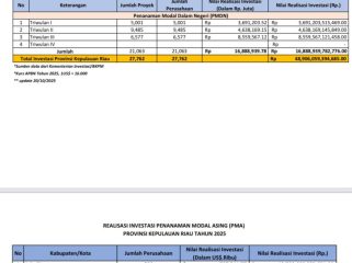 Tabel Realisasi Investasi Provinsi Kepri Tahun 2025. (Dinas Penanaman Modal dan Pelayanan Terpadu Satu Pintu Kepri)