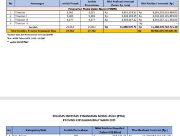 Tabel Realisasi Investasi Provinsi Kepri Tahun 2025. (Dinas Penanaman Modal dan Pelayanan Terpadu Satu Pintu Kepri)