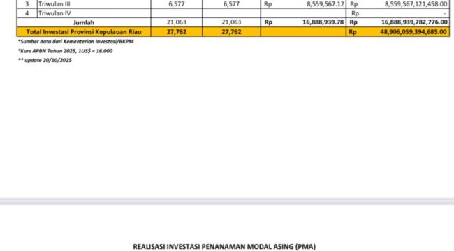 Tabel Realisasi Investasi Provinsi Kepri Tahun 2025. (Dinas Penanaman Modal dan Pelayanan Terpadu Satu Pintu Kepri)