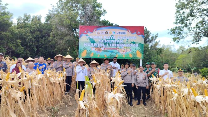 
					Jajaran Polresta Tanjungpinang bersama Polsek Bukit Bestari panen perdana di Lahan TANJUNG Siambang,Rabu (28/01) F-Humas Polresta Tanjungpinang.