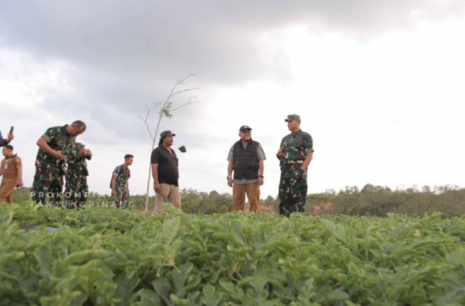 
					Walikota Tanjungpinang, Lis Darmansyah dan Panglima Kogabwilhan I saat meninjau lahan pertanian binaan Kogabwilhan I di Pulau Dompak, Senin (26/01) F-Prokomim 