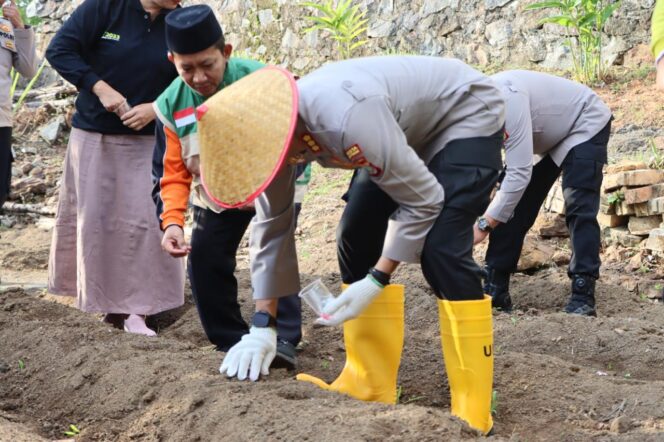 
					Kapolresta Tanjungpinang saat menanam jagung, Sabtu (07/03)