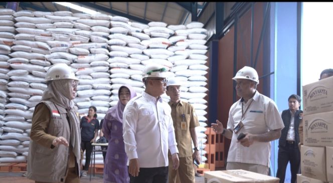 
					Wakil Gubernur Kepulauan Riau Nyanyang Haris Pratamura, saat meninjau Bulog di Kota Batam, Senin (02/03) F-Kominfo Kominfo Kepri 