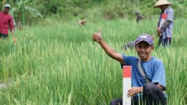 Seorang warga memasang patok tanah yang kokoh, Jum'at (20/03) F- Humas Kementerian ATR/BPN
