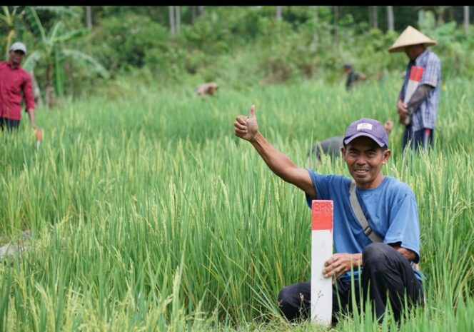 
					Seorang warga memasang patok tanah yang kokoh, Jum'at (20/03) F- Humas Kementerian ATR/BPN