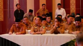 Bupati Kepulauan Anambas, Aneng.F-Istimewa