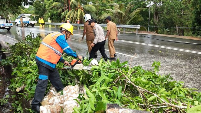 
					Personil Polsek Tanjungpinang Kota bersama PLN dan pihak Kelurahan Senggarang saat memberikan pohon Tumbang, Selasa (07/04). F-Kepri.info