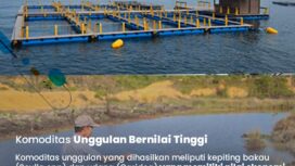 Kabupaten Lingga menawarkan peluang investasi yang kuat dari sektor Perairan Umum Darat (PUD).