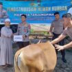 Sebanyak 21 ekor hewan kurban didistribusikan Polresta Tanjungpinang kepada Masjid, Pondok pesantren, Mahasiswa dan masyarakat kurang mampu.