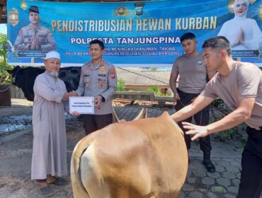 Sebanyak 21 ekor hewan kurban didistribusikan Polresta Tanjungpinang kepada Masjid, Pondok pesantren, Mahasiswa dan masyarakat kurang mampu.
