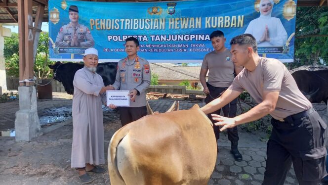
					Sebanyak 21 ekor hewan kurban didistribusikan Polresta Tanjungpinang kepada Masjid, Pondok pesantren, Mahasiswa dan masyarakat kurang mampu.
