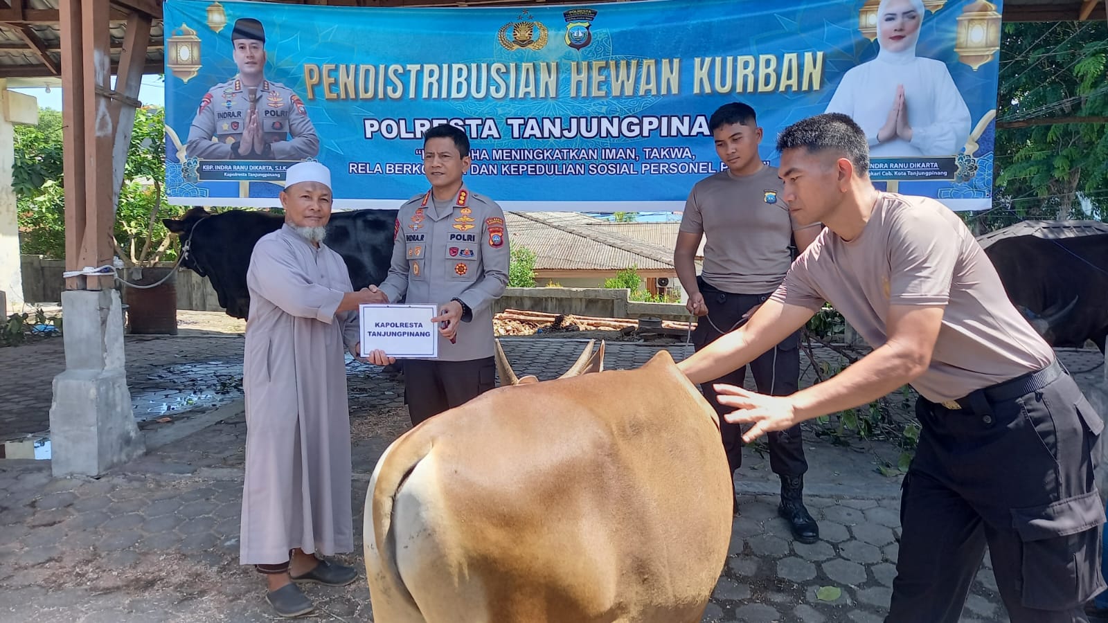 Sebanyak 21 ekor hewan kurban didistribusikan Polresta Tanjungpinang kepada Masjid, Pondok pesantren, Mahasiswa dan masyarakat kurang mampu.