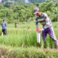 Pasang Patok, Cara Sederhana Cegah Sengketa Tanah dengan Tetangga