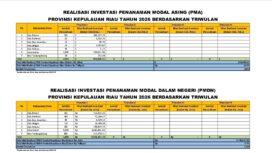 Realisasi Investasi Penanaman Modal Asing Triwulan I di Kepri Mencapai 851,600.31 U$$, Tercatat 2.842 Perusahaan