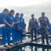 Panglima Komando Armada I (Pangkoarmada I) Laksamana Muda TNI Haris Bima B, S.E., M.Si., M.Tr.Opsla., didampingi Ketua Gabungan I Gabungan Jalasenastri Koarmada RI Ny. Putri Haris Bima melaksanakan peninjauan ke Sentra Keramba Ikan Napoleon di Pulau Sedanau, Natuna, pada Jumat (15/05/2026).