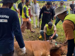 PT Angkasa Pura Indonesia/Injourney Airports Bandara Raja Haji Fisabilillah Tanjunpinang pada Sabtu (30/5/2026) menyalurkan bantuan 1 ekor sapi untuk kurban bagi sekitar masyarakat lingkungan Bandara melalui masjid Bandara