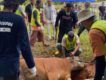 PT Angkasa Pura Indonesia/Injourney Airports Bandara Raja Haji Fisabilillah Tanjunpinang pada Sabtu (30/5/2026) menyalurkan bantuan 1 ekor sapi untuk kurban bagi sekitar masyarakat lingkungan Bandara melalui masjid Bandara