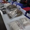Narkoba jenis sabu-sabu dan Ganja yang berhasil di ungkap Satresnarkoba Polresta Tanjungpinang.