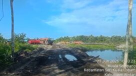 Aktivitas Perusahaan PT Inti Surya Indonesia ditengah klaim ESDM Kepri telah menghentikan sementara hingga Persetujuan Pemanfaatan Kawasan Hutan terbit, Selasa (23/06) F-Suaib Kepri.info