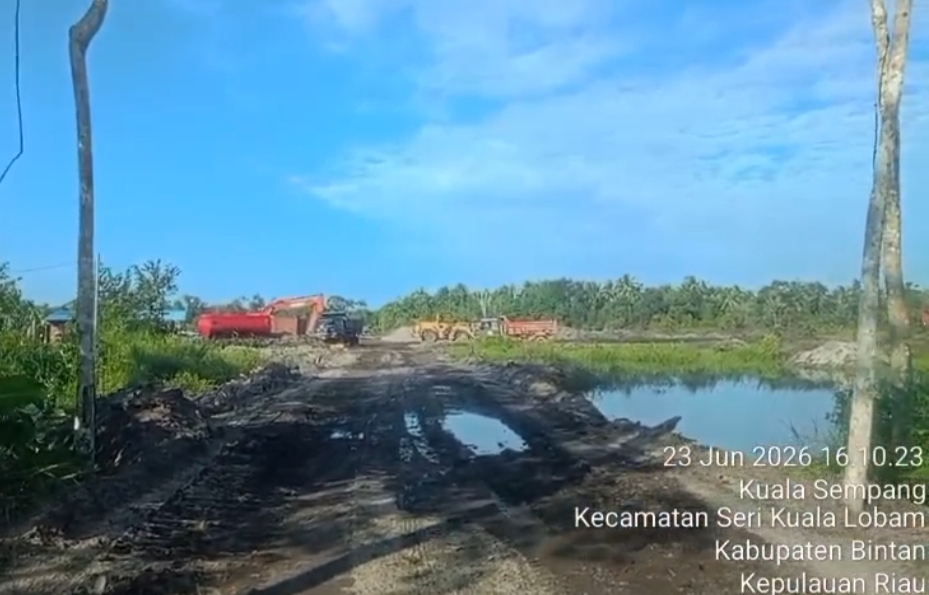 Aktivitas Perusahaan PT Inti Surya Indonesia ditengah klaim ESDM Kepri telah menghentikan sementara hingga Persetujuan Pemanfaatan Kawasan Hutan terbit, Selasa (23/06) F-Suaib Kepri.info