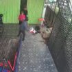 Terduga pelaku saat melakukan menyerang pemilik Toko di Jalan MT Haryono, Kota Tanjungpinang, Selasa (23/06)
