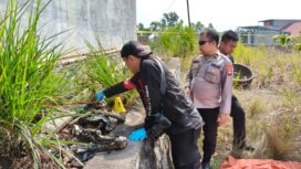 Warga di Jalan Kampung Mekar Jaya RT 01/RW 02, Kelurahan Batu IX, Kecamatan Tanjungpinang Timur, Kota Tanjungpinang, digegerkan dengan penemuan kerangka yang diduga merupakan kerangka manusia, Senin (10/8/2026).