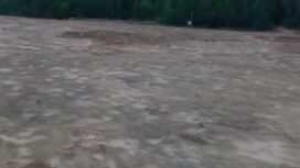 Lahan yang berada didalam Kawasan Hutan Produksi di Jembatan Dompak, Kelurahan Dompak, ditimbun tanpa mengantongi izin Pemanfaatan Kawasan Hutan,